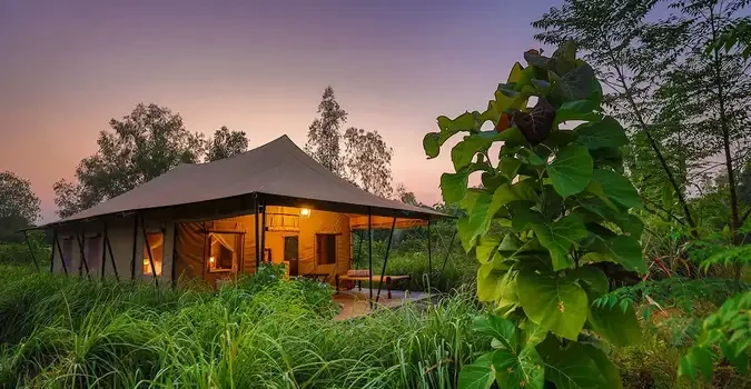 Aalia Jungle Retreat & Spa, photo 3