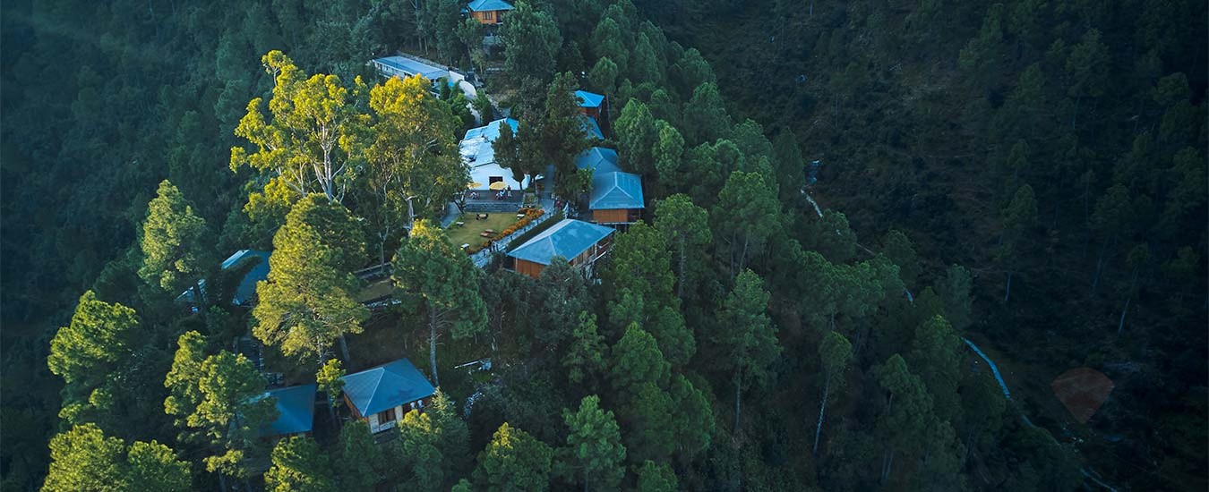Club Mahindra Binsar Villa, Binsar