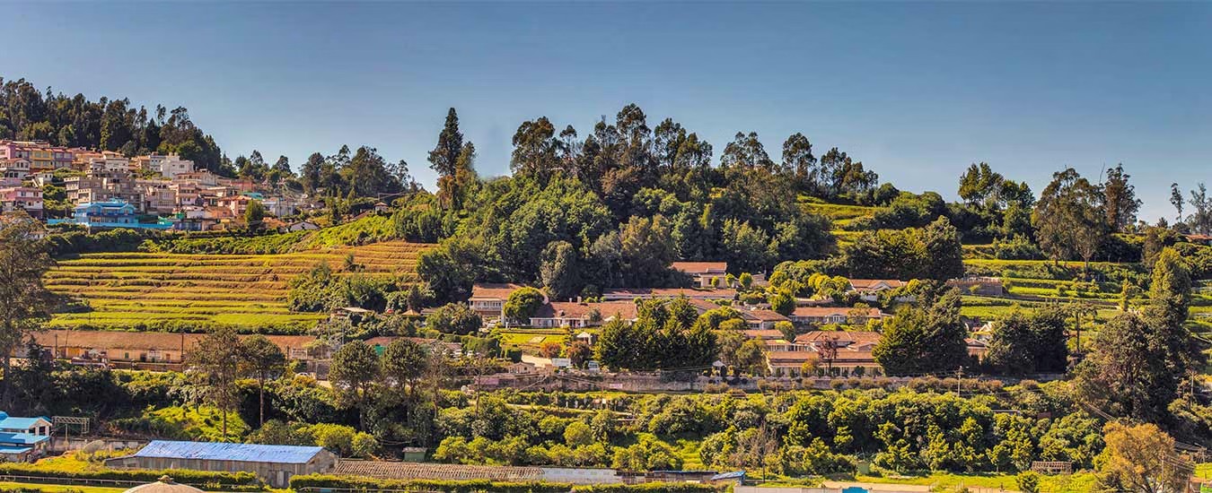 Club Mahindra Derby Green, Ooty, photo 2