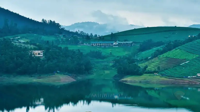 Destiny Farmstay Ooty, Ooty