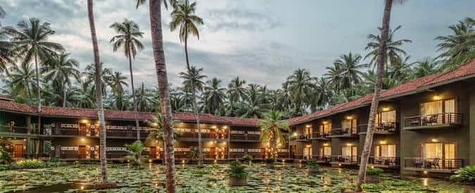 Dindi RVR, photo 2