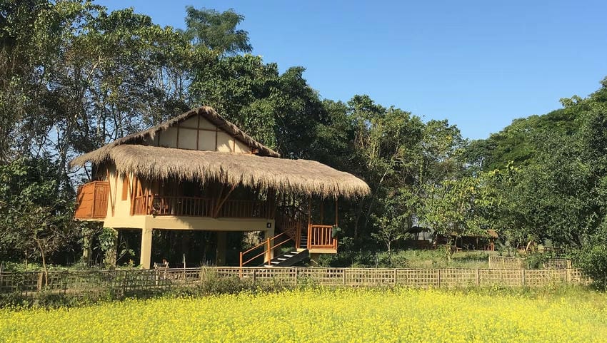 Diphlu River Lodge, Kaziranga National Park