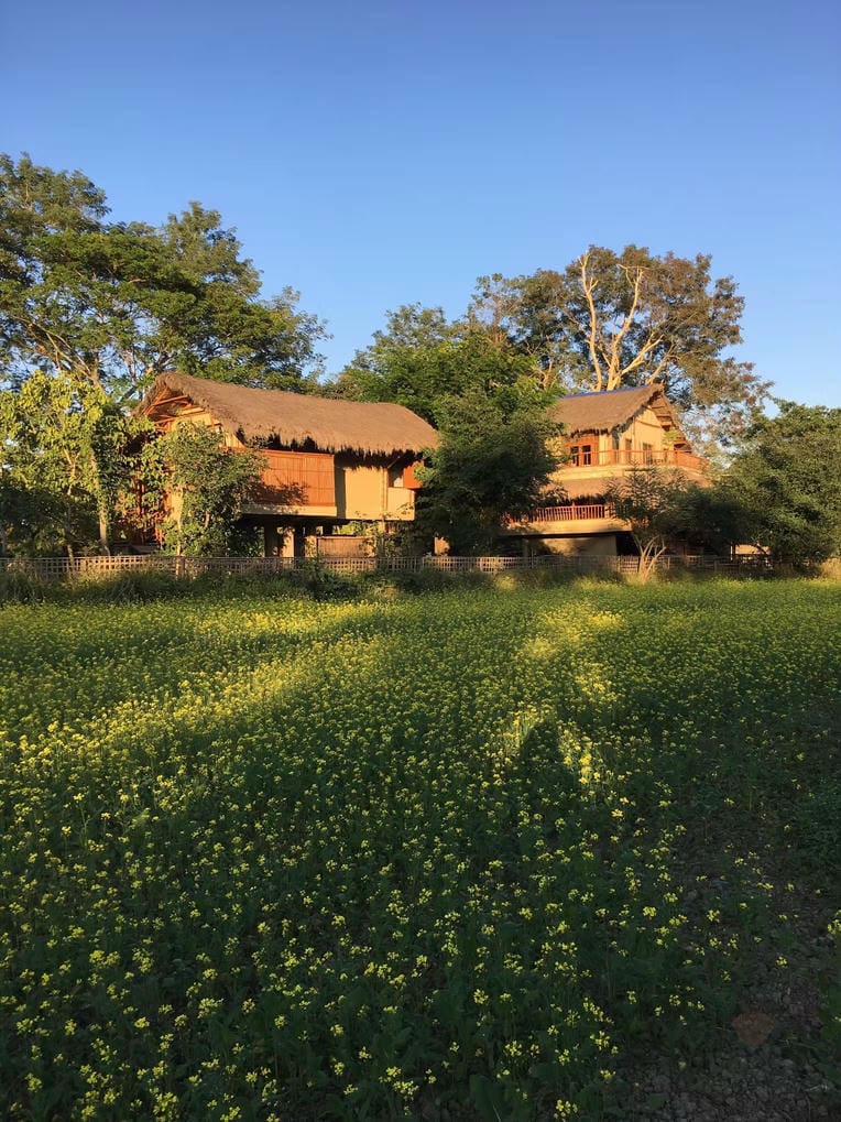Diphlu River Lodge, photo 2
