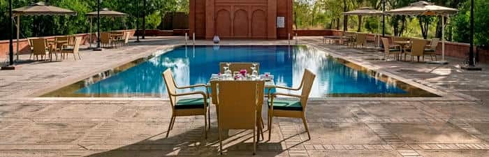 Gaj Kesri, Bikaner by 7 Apple, photo 2