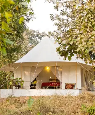 Jamtara Wilderness Camp, Pench