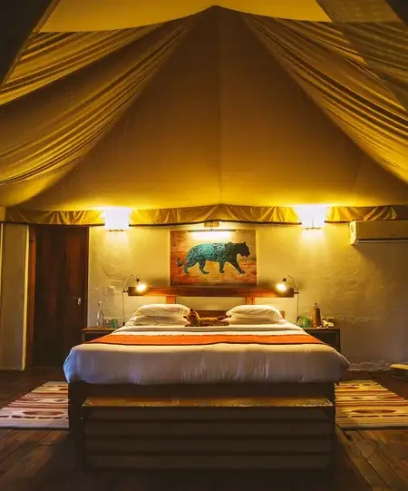 Jamtara Wilderness Camp, photo 2