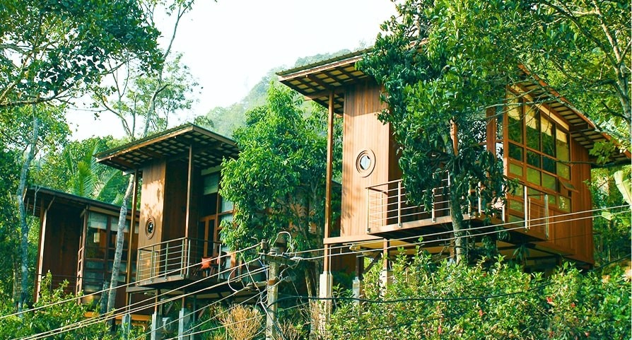 Niraamaya Retreats Cardamom Club, photo 2