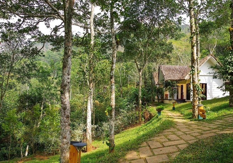 Niraamaya Retreats Cardamom Club, photo 3
