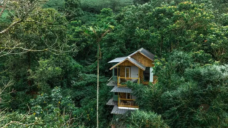 Parakkat Nature Resort, Munnar