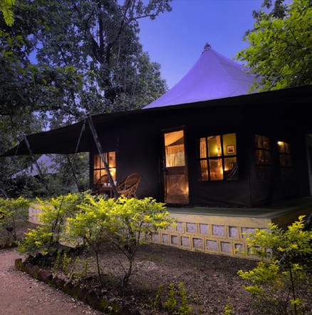 Pench Jungle Camp, Pench