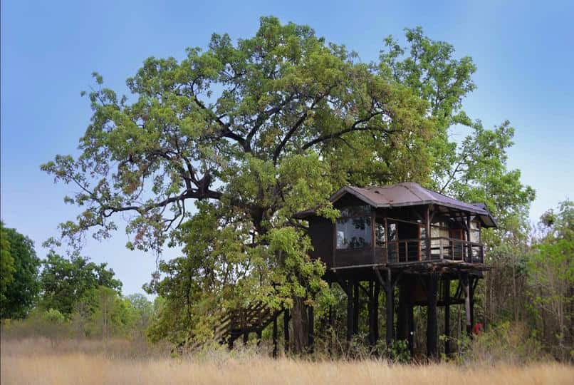 Pench Tree Lodge, photo 3