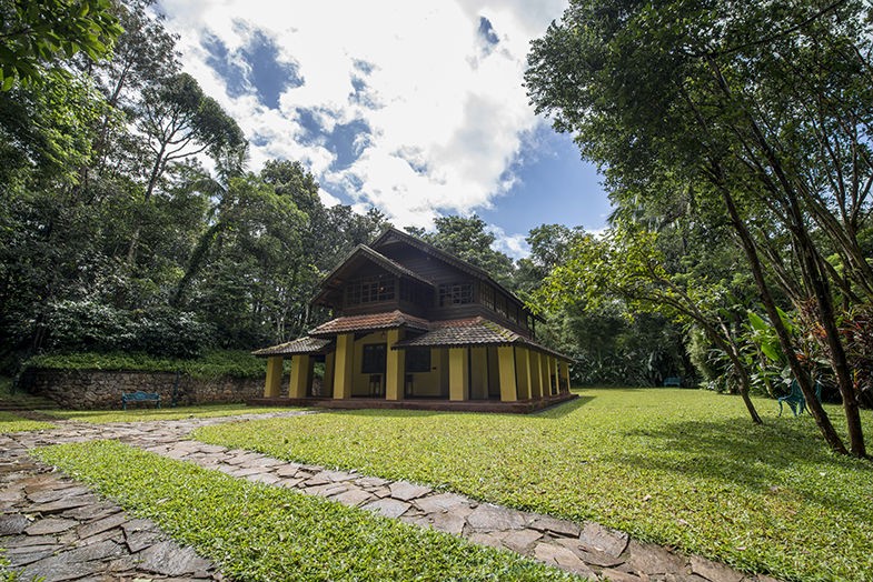 Pepper Trail, photo 3