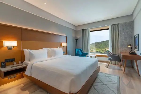 Radisson Hotel Nathdwara, photo 2