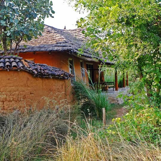 Sarai at Toria Panna, photo 3
