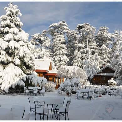 The Chalets Naldehra, photo 2