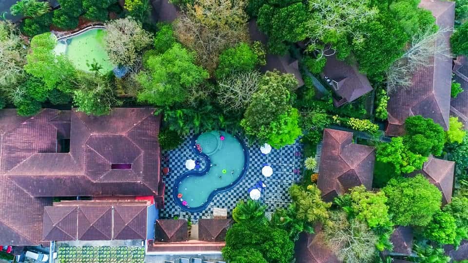 The Elephant Court, Thekkady