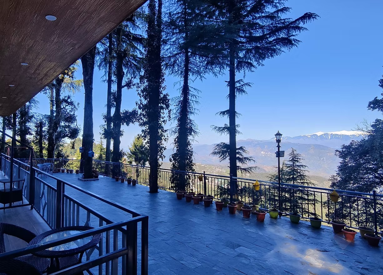 The Sandrringham Hideout, Dalhousie