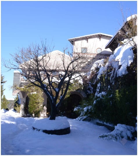 The Terraces, photo 3
