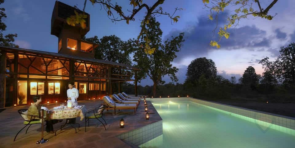 Tree House Hideaway, photo 2