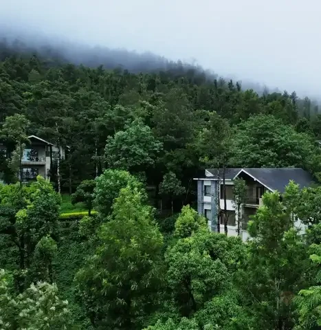 Trivik Hotels & Resorts, Chikmagalur