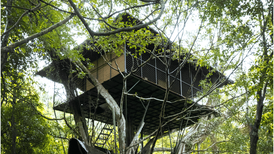 Vythiri Resort Wayanad, photo 3