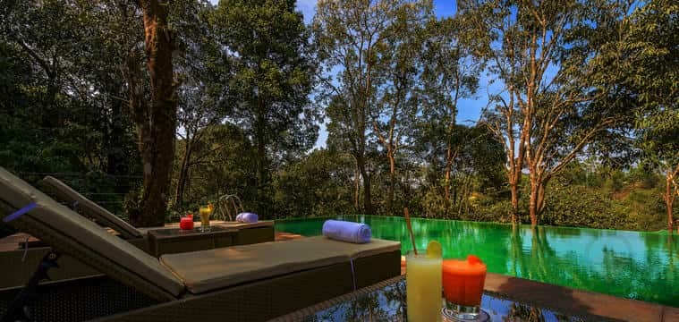 Wayanad Wild, photo 2