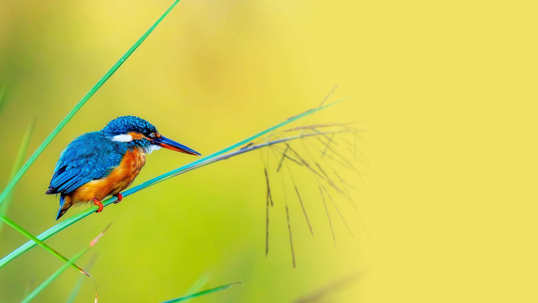 Plantation Experience at Timbertales