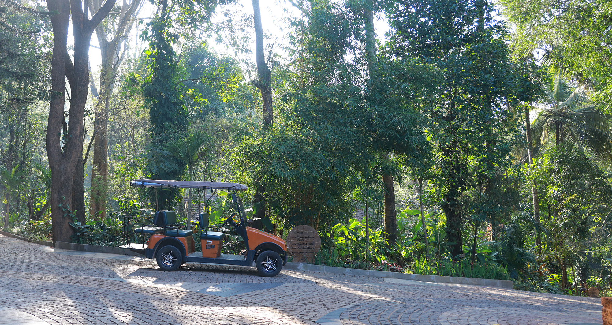 Wildlife Experience at Timbertales