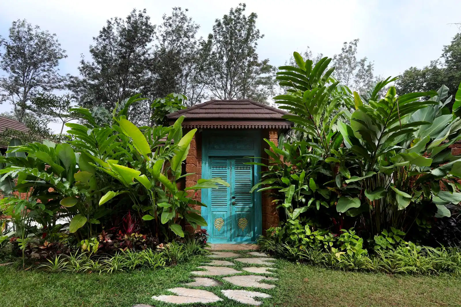 Coorg forest and nature view