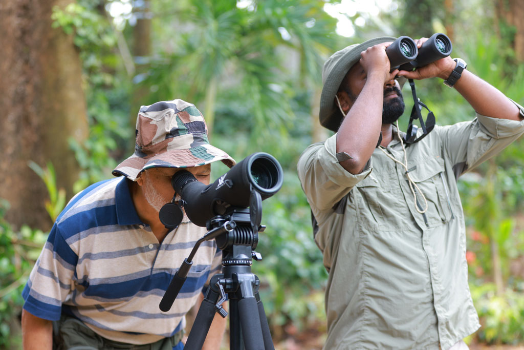 Nature Trails and Wilderness at Timbertales