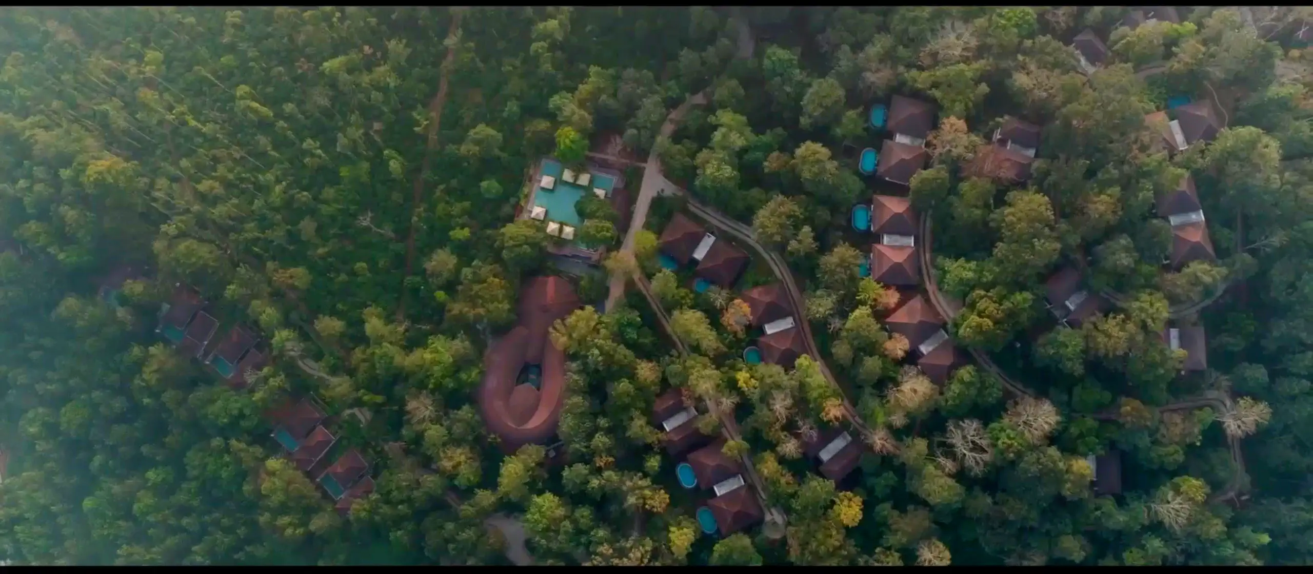 Luxury resort rooms in Coorg